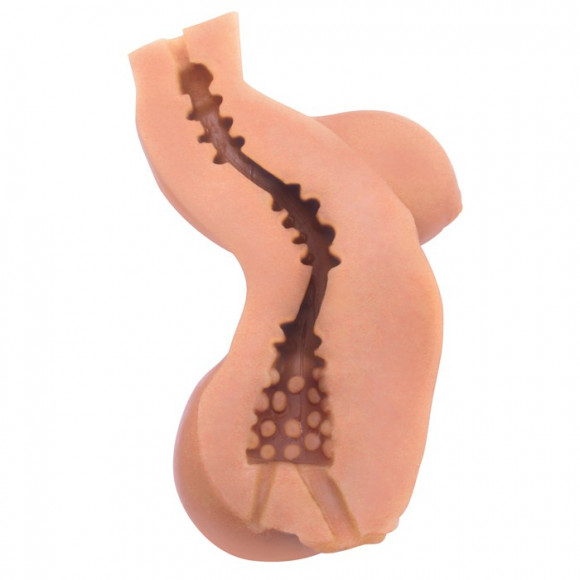 Мастурбатор-торс CyberSkin Intimates Virtual Girlfriend Light Мастурбатор-торс CyberSkin Intimates Virtual Girlfriend Light