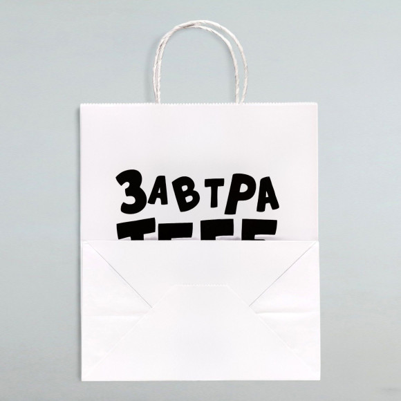 Подарочный пакет Завтра тебе будет стыдно - 30 х 24 см. Подарочный пакет Завтра тебе будет стыдно - 30 х 24 см.