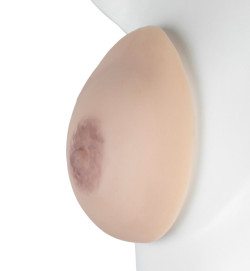 Малый парапротез молочной железы Малый парапротез молочной железы