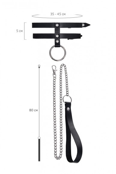 Черный ошейник из двух ремешков с поводком Черный ошейник из двух ремешков с поводком