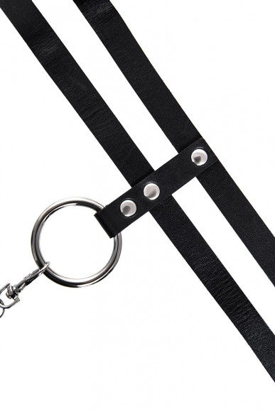 Черный ошейник из двух ремешков с поводком Черный ошейник из двух ремешков с поводком