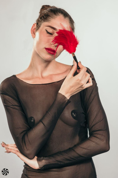 Красный перьевой тиклер Plume - 23 см. Красный перьевой тиклер Plume - 23 см.