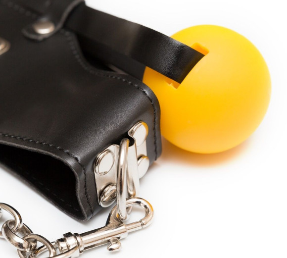 Кляп-шарик с поводком Кляп-шарик с поводком